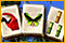 Tropico Jong: Butterfly Expedition